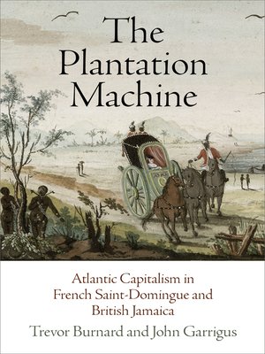 cover image of The Plantation Machine